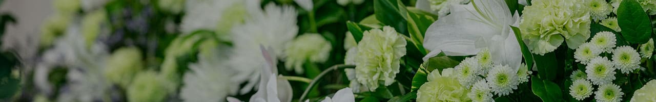 ベルセレマが選ばれる 7つの理由