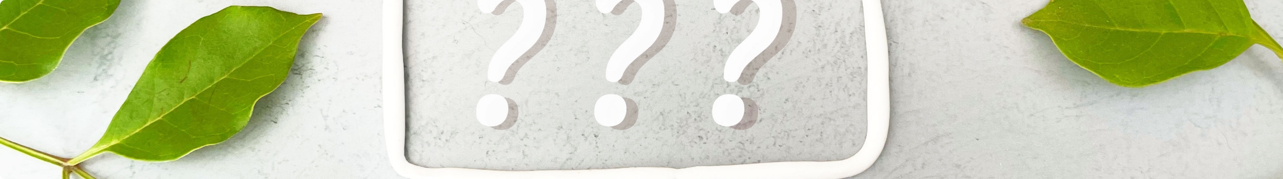 セレマが選ばれる 6つの理由