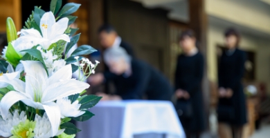 ベルセレマが選ばれる 6つの理由